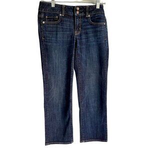 AEO American Eagle Outfitters Artist Crop Stretch Jeans Size 2